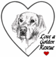 Love a Golden Rescue